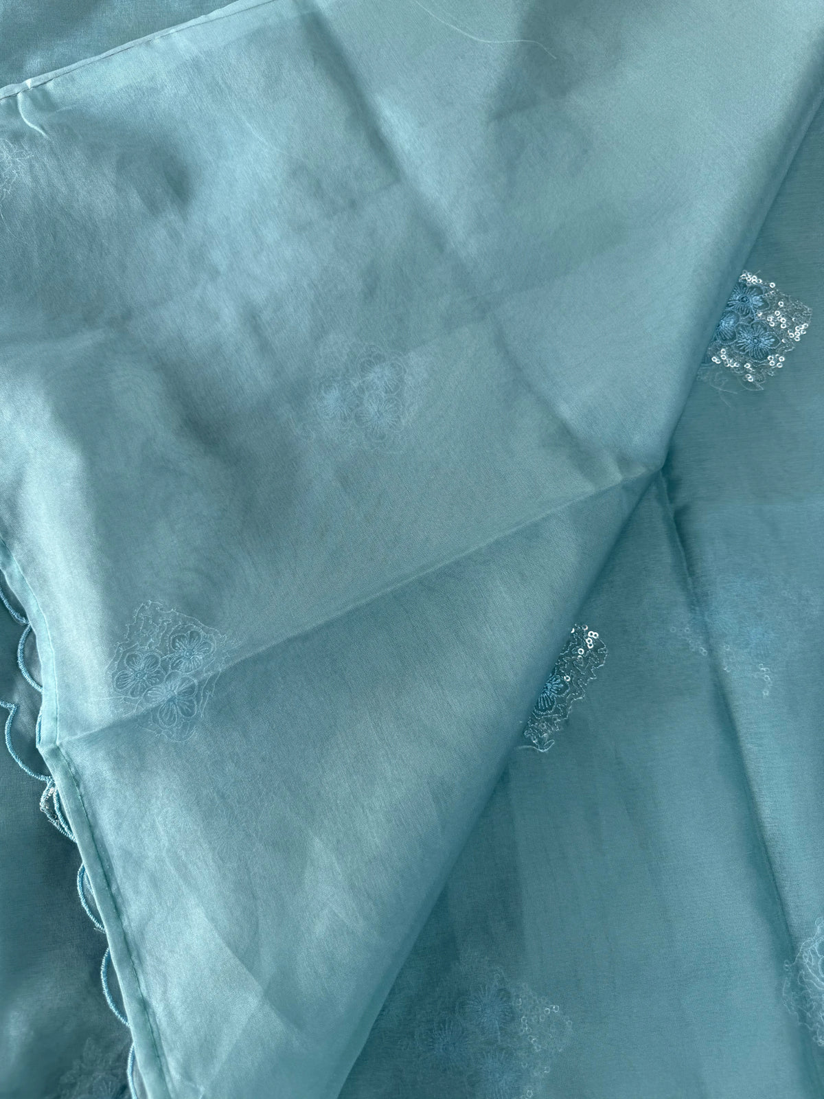 Soft Organza Saree/CW375