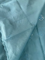 Soft Organza Saree/CW375