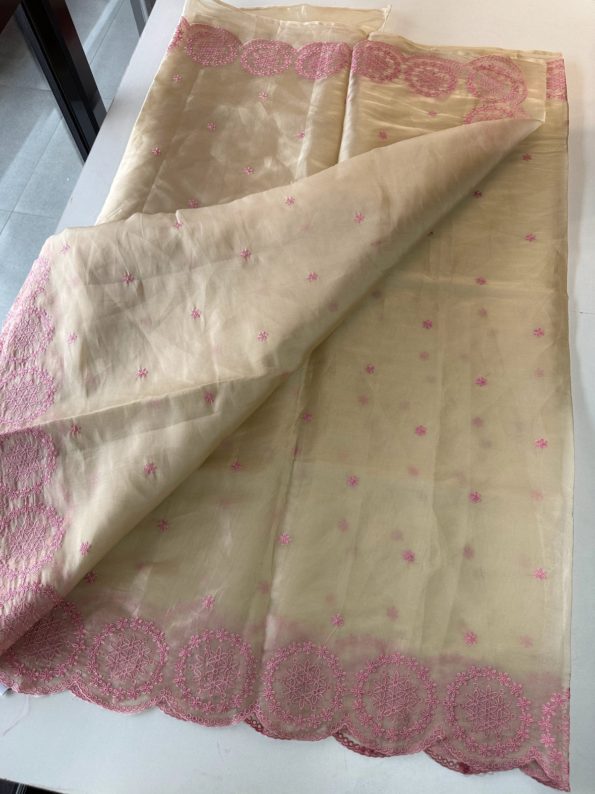 Organza Saree/ CW203