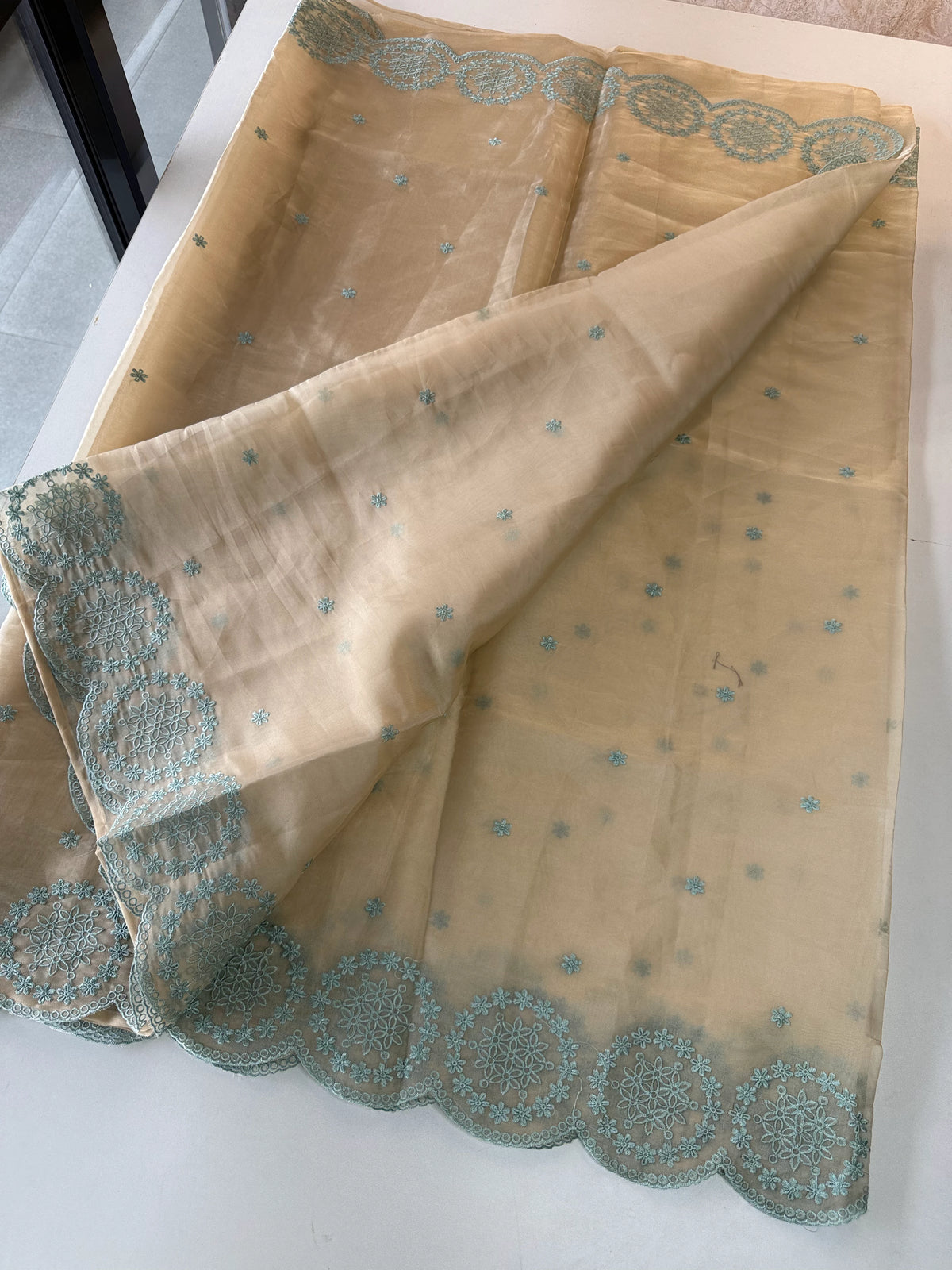 Organza Saree/ CW203