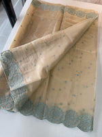 Organza Saree/ CW203