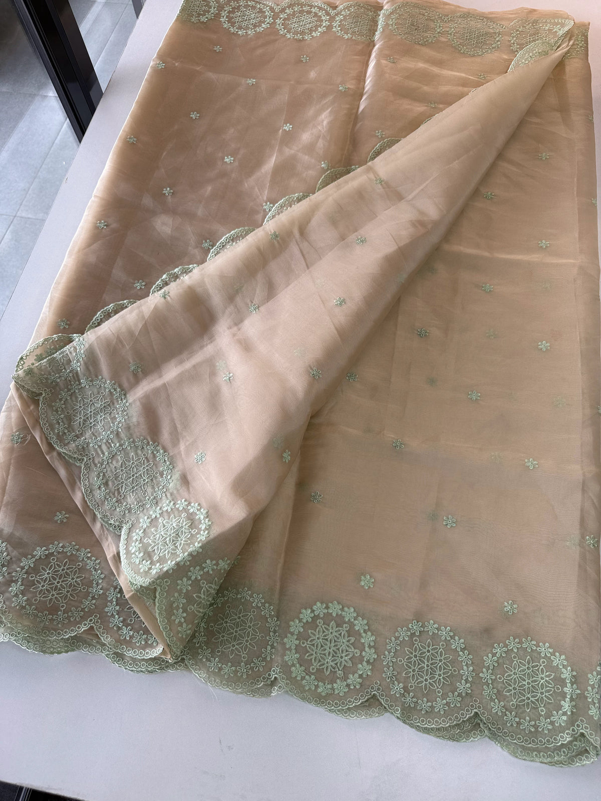 Organza Saree/ CW203