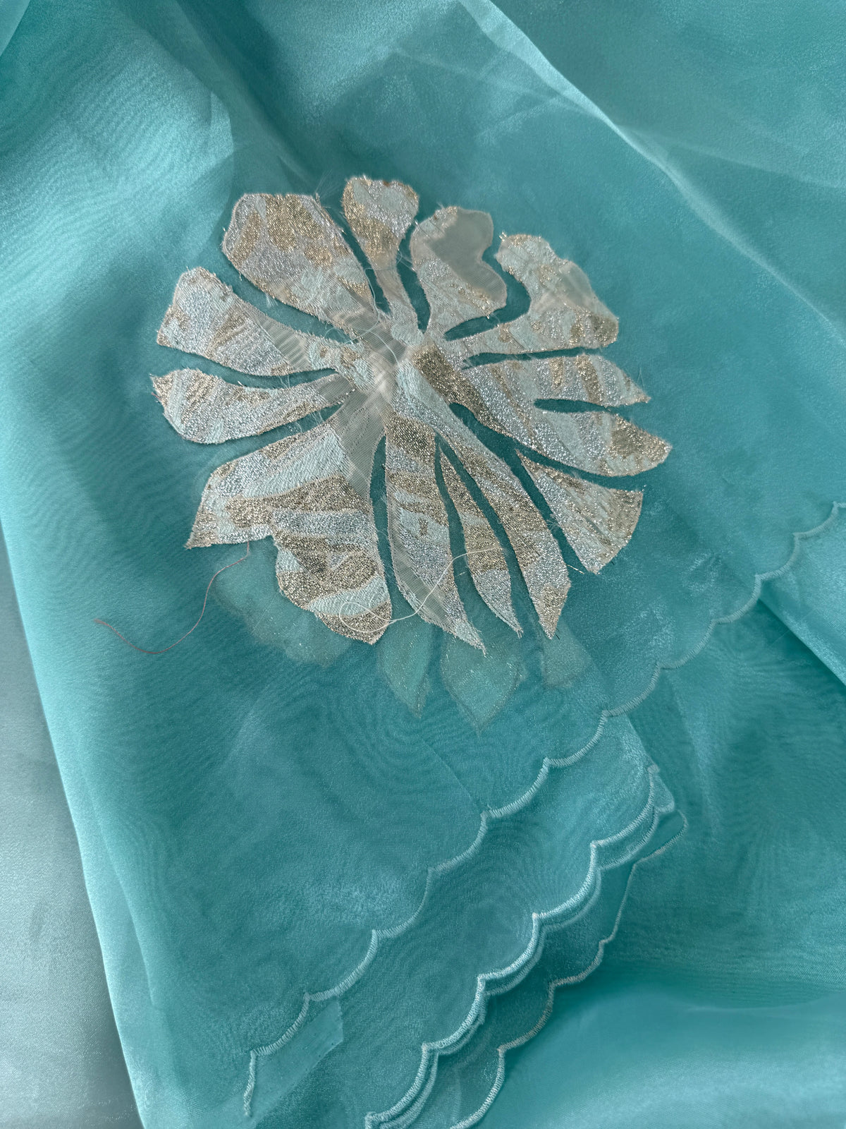 Glass Organza Saree/ LK35