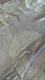 Satin organza saree/ 5509