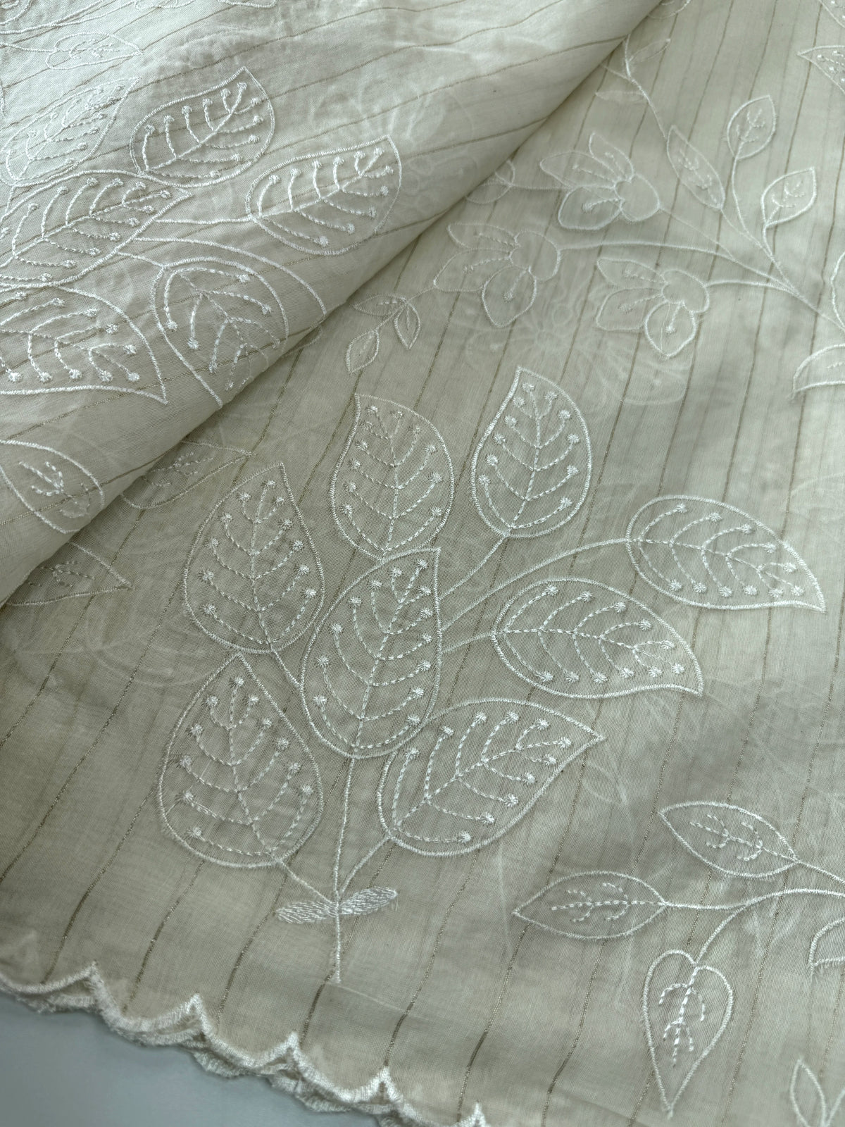 Chanderi cotton saree/ 114EFS