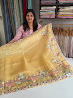 Glass organza saree/ 155B