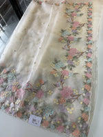 Glass organza saree/ 155B
