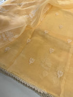 Glass Organza Saree/ CW666