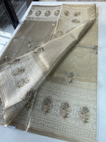 Tissue saree/ SN171