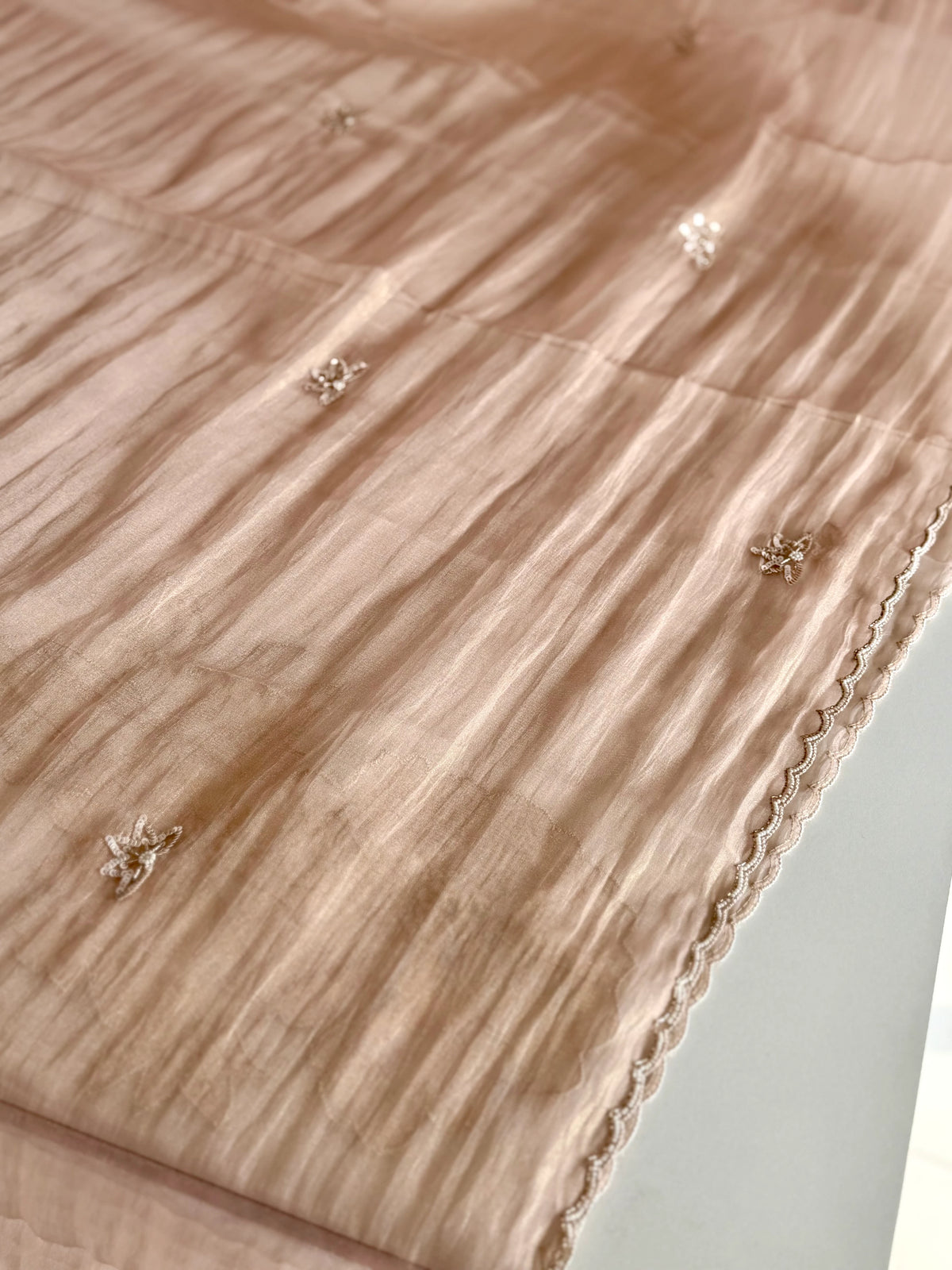 Crushed Organza Saree/ AM118