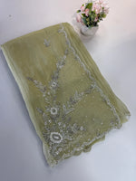 Korean Organza Saree/HW402