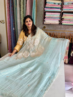 Crushed Organza Saree/ AM118