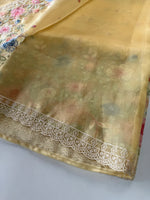 Glass Organza Saree/ 155A