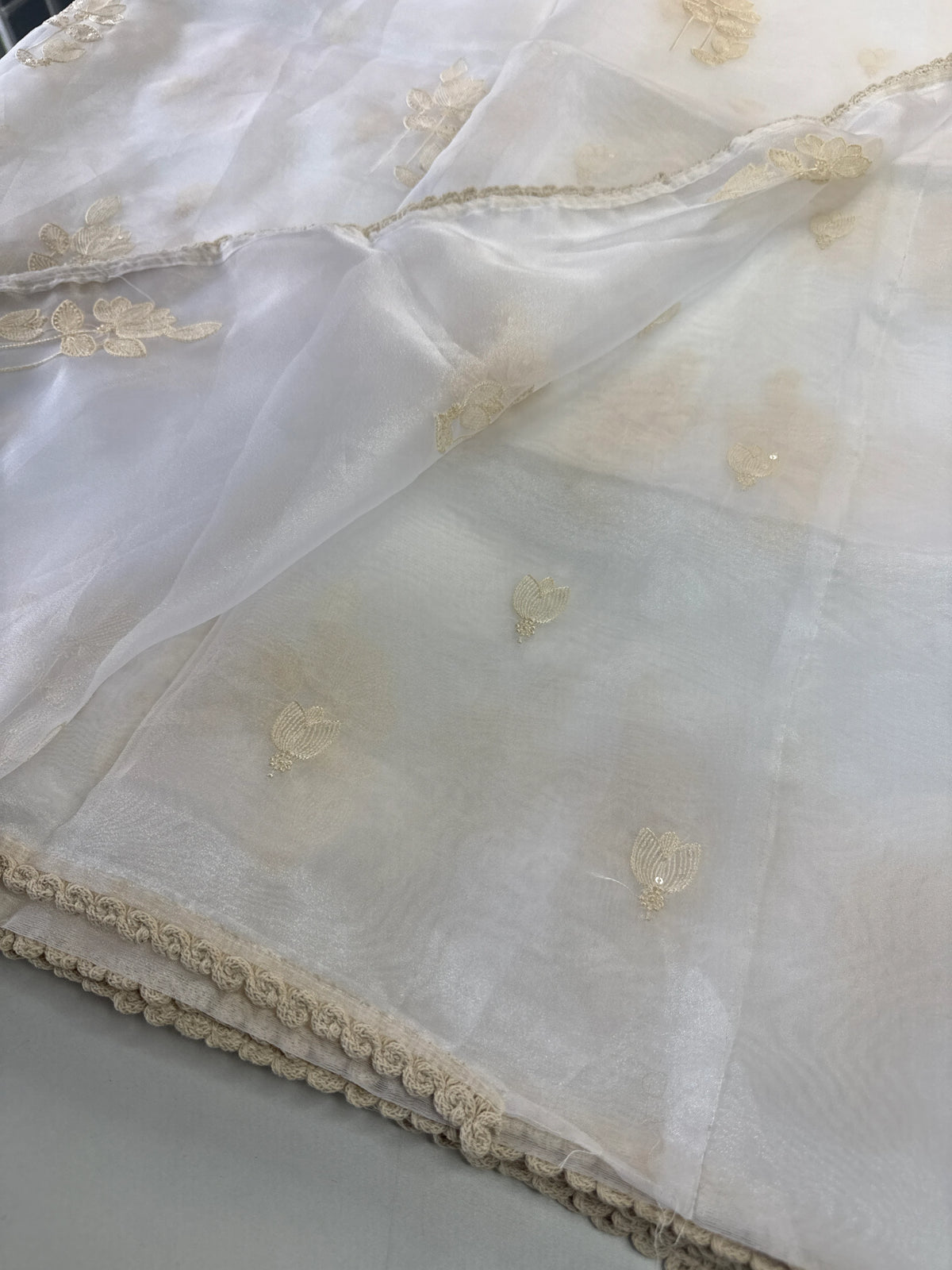 Glass Organza Saree/ CW666