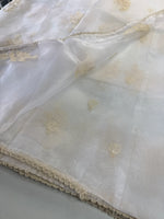 Glass Organza Saree/ CW666
