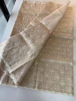 Organza Saree / CW316