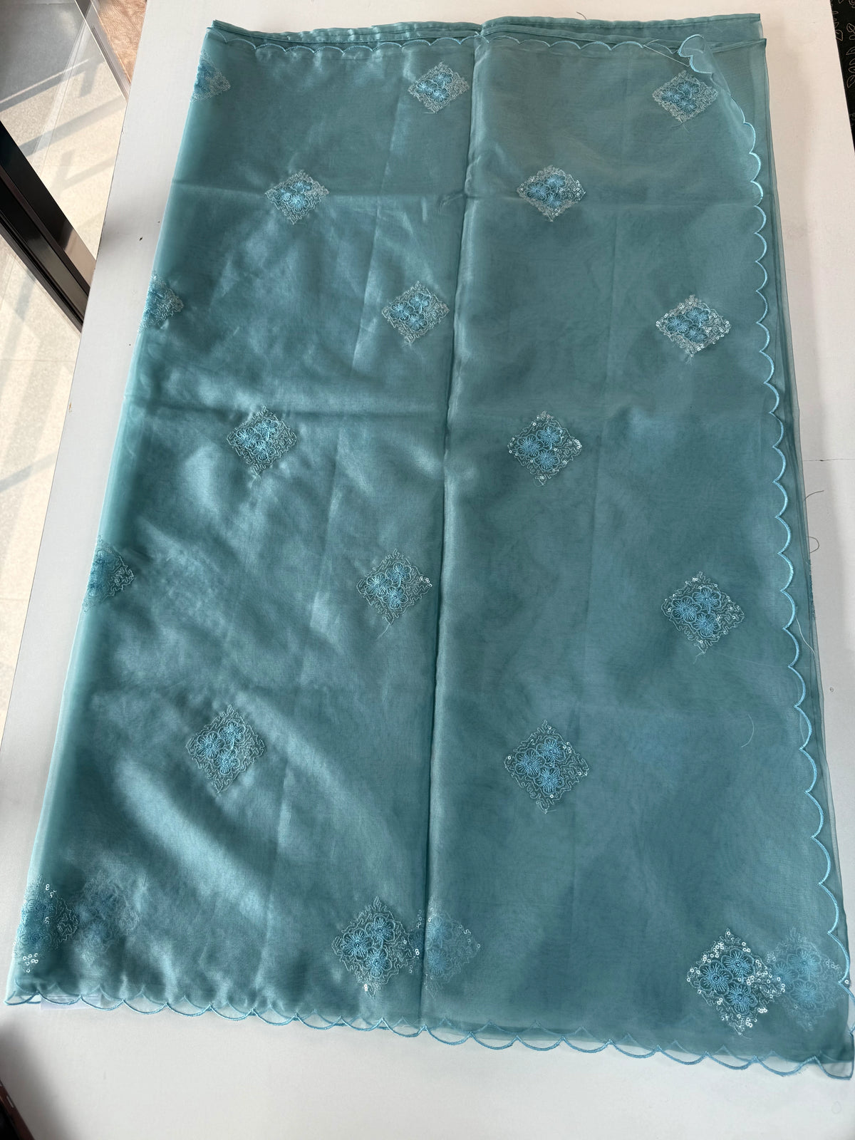 Soft Organza Saree/CW375