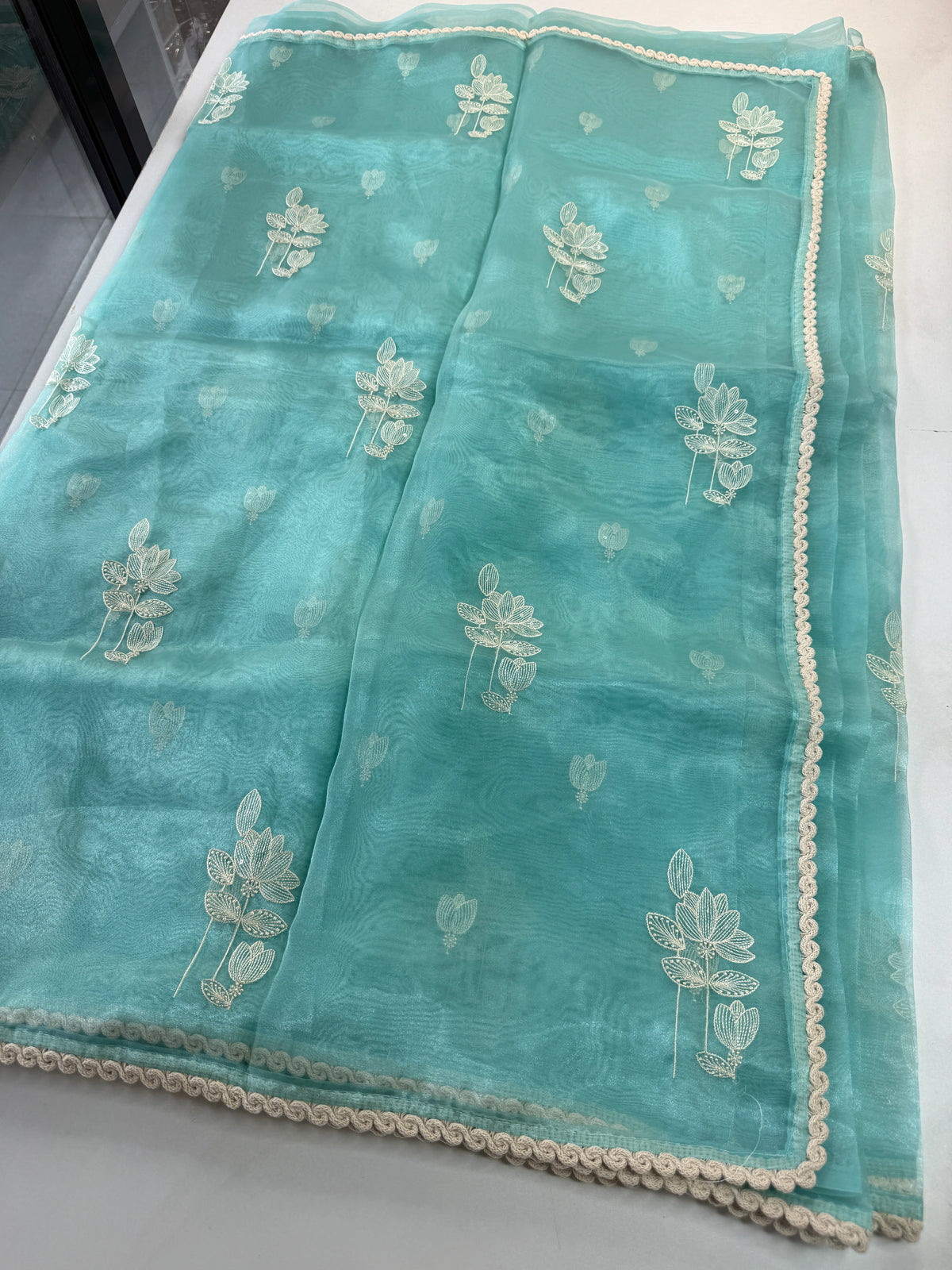 Glass Organza Saree/ CW666