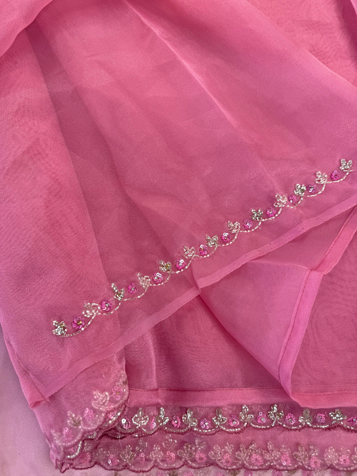 Organza Saree/ HW97