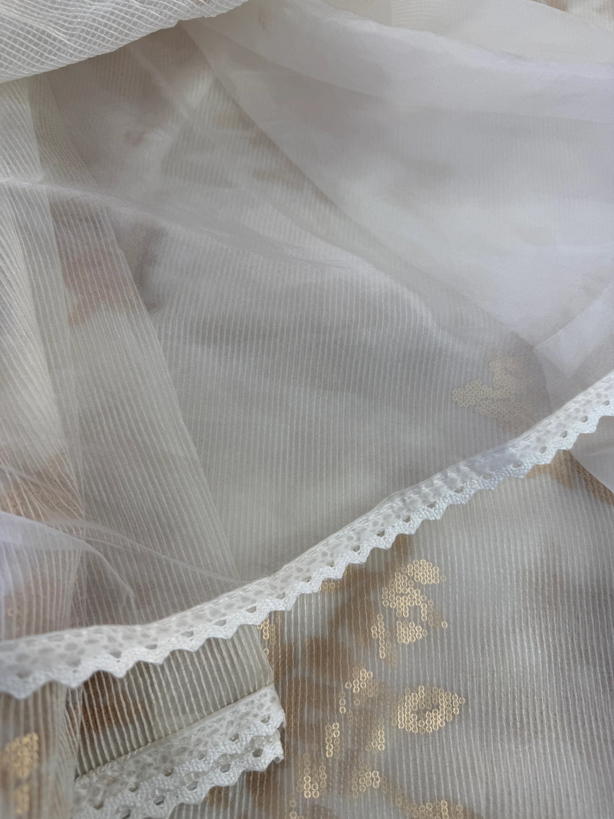 OrganzaSaree / CW348