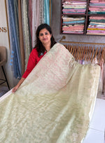 Crushed Organza saree/ BC602