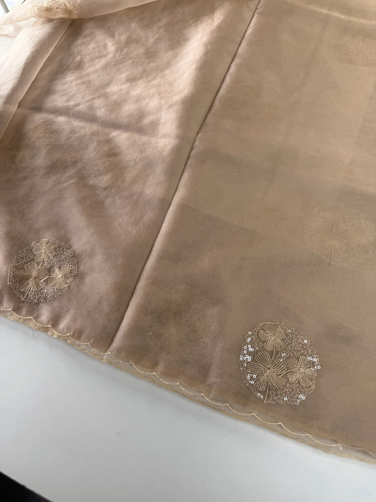 Soft organza saree/ CW038