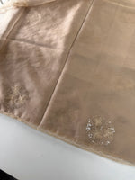Soft organza saree/ CW038
