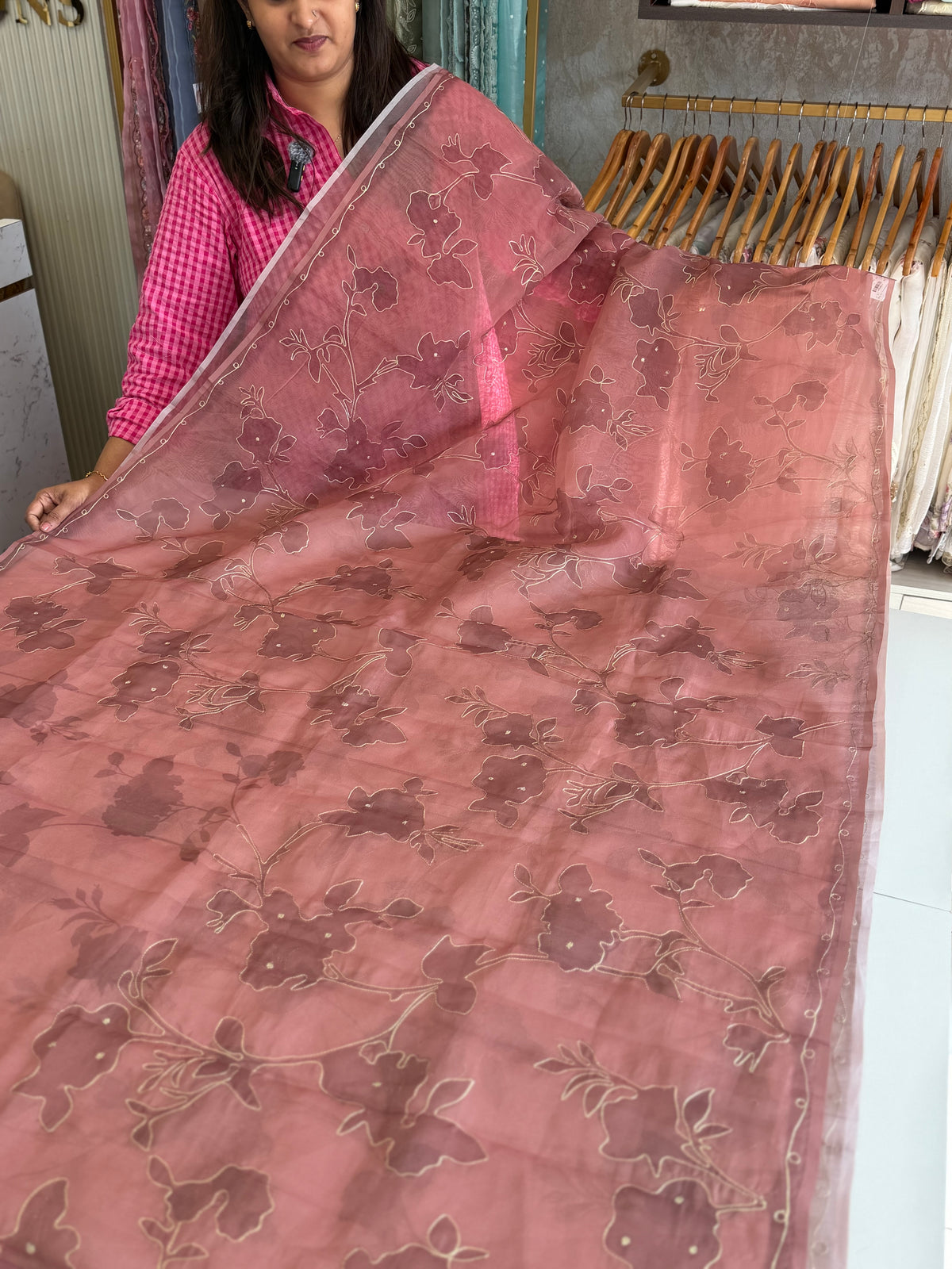 Organza Saree/ D215