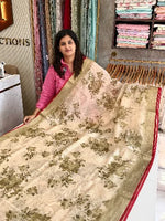 Linen cotton Saree/ 1567