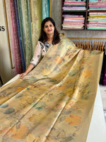 Tissue saree/ SB101