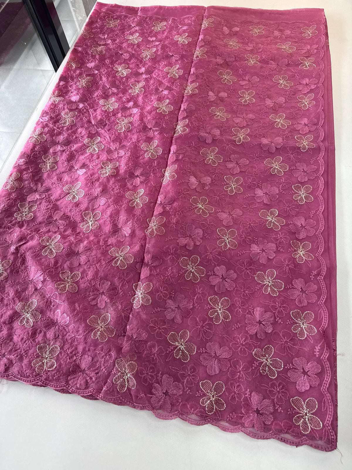 Soft organza Saree/ CW804