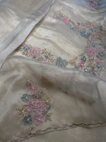 Glass organza saree/ AS762