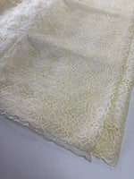 Soft Organza Saree/ AM103