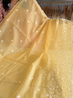 Viscous organza saree/ BL137