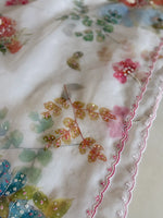 Organza Saree/ DG213