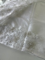 Soft organza Saree/ CW804