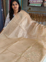 Tissue kotta saree /A6757