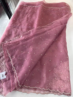 Glass Organza Saree/ AP1010