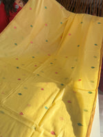 Soft Chanderi jamdhani weaves / SA74