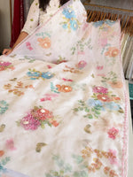 Organza Saree/ DG213
