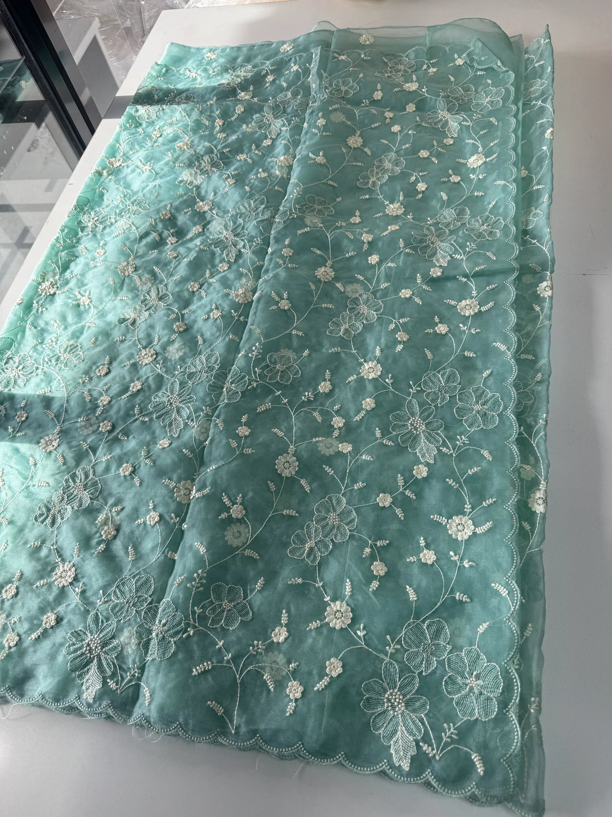 Soft Organza Saree/ CW779