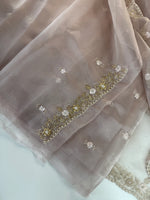 Glass organza party wear saree/ SA850