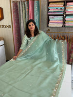 Glass organza party wear saree/ SA850