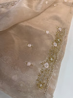 Glass organza party wear saree/ SA850