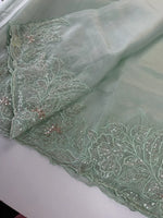 Crushed Foil blended Organza Saree/ AM104