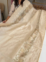 Net kotta Saree/ 647B