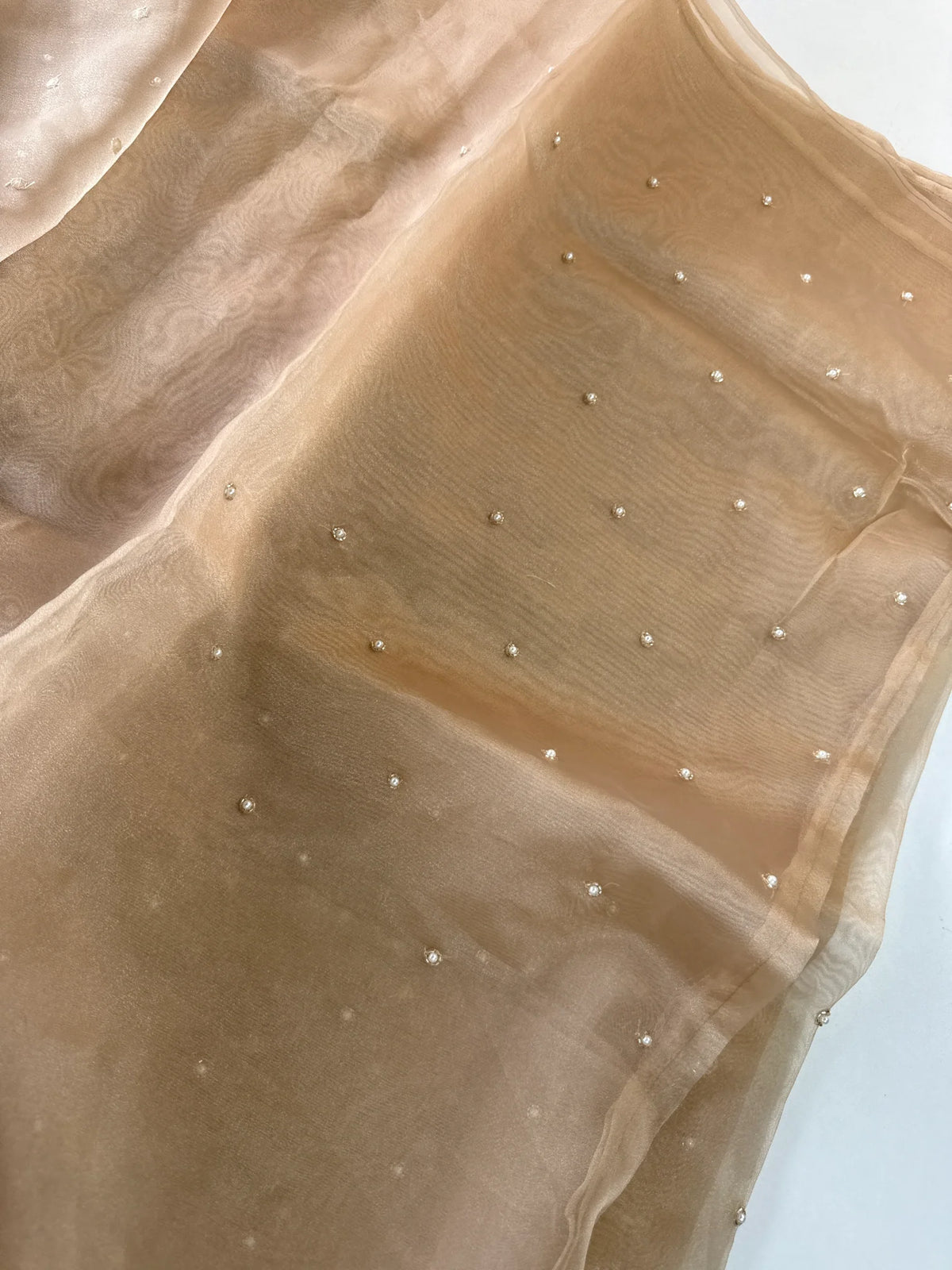 Glass Organza Saree/ AP1010