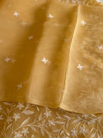 Viscous organza saree/ BL137