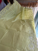 Slub Silk Saree floral appliqué / 125EFS