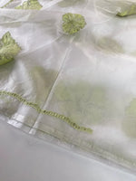 Soft organza saree/ CW865